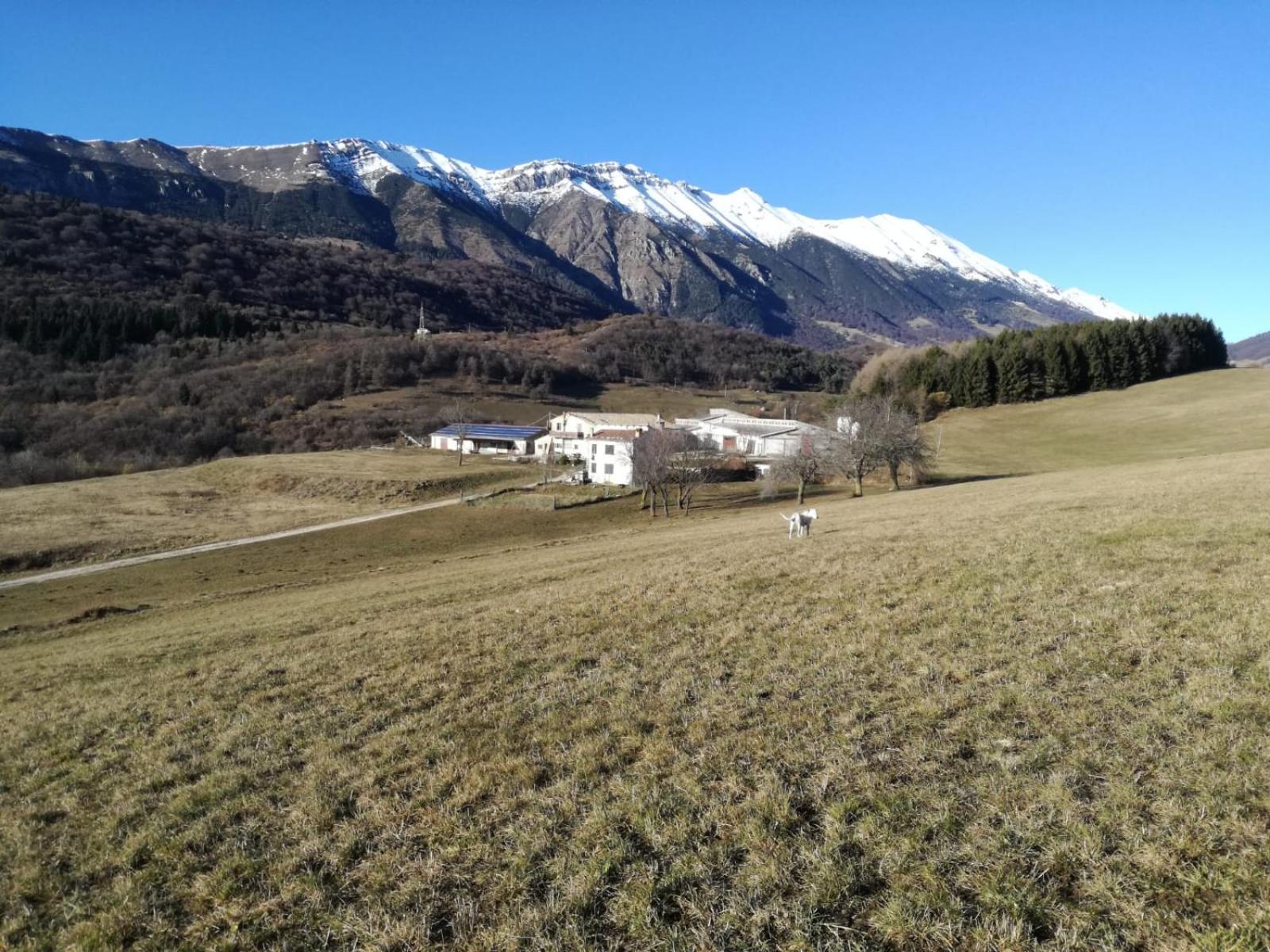 הוילה Ferrara di Monte Baldo Agriturismo Preele מראה חיצוני תמונה