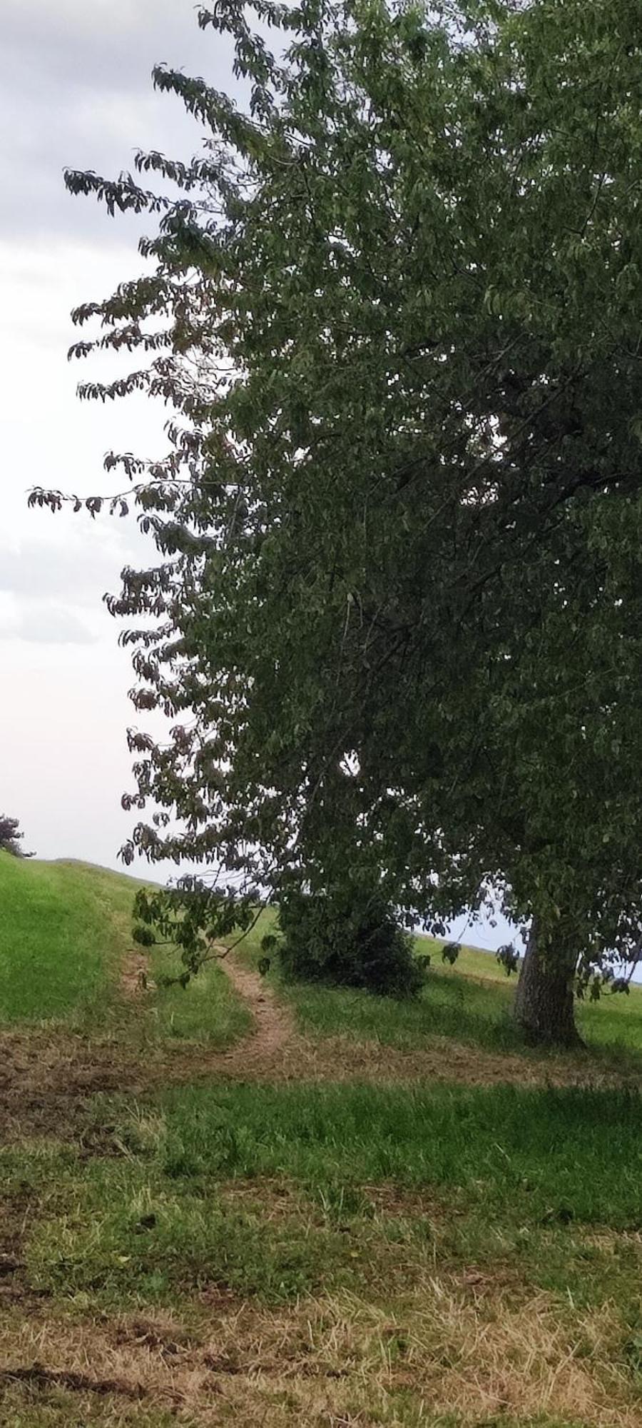 הוילה Ferrara di Monte Baldo Agriturismo Preele מראה חיצוני תמונה